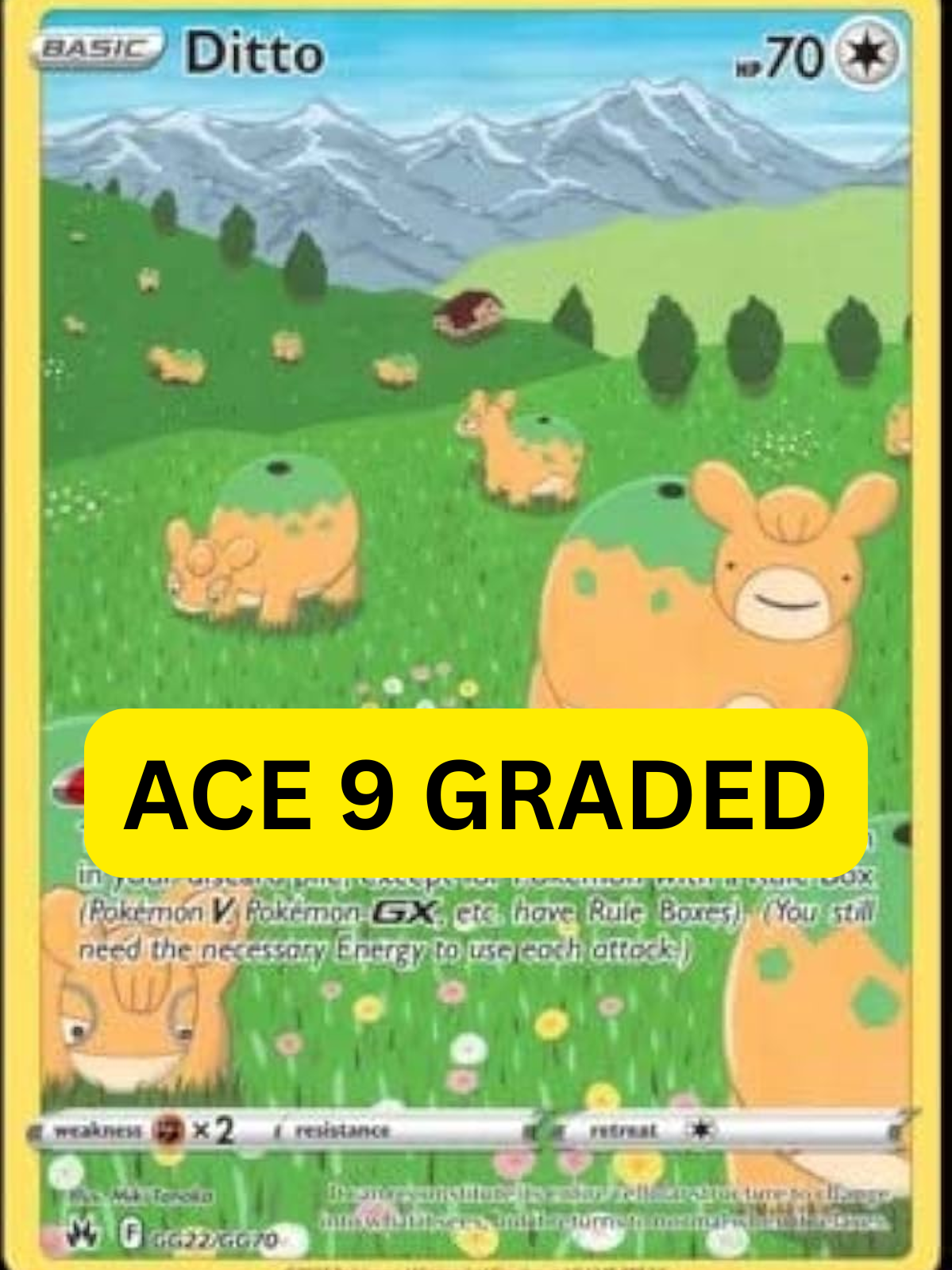 ditto ace 9