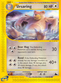 Ursaring 110/144 — Pokémon Skyridge