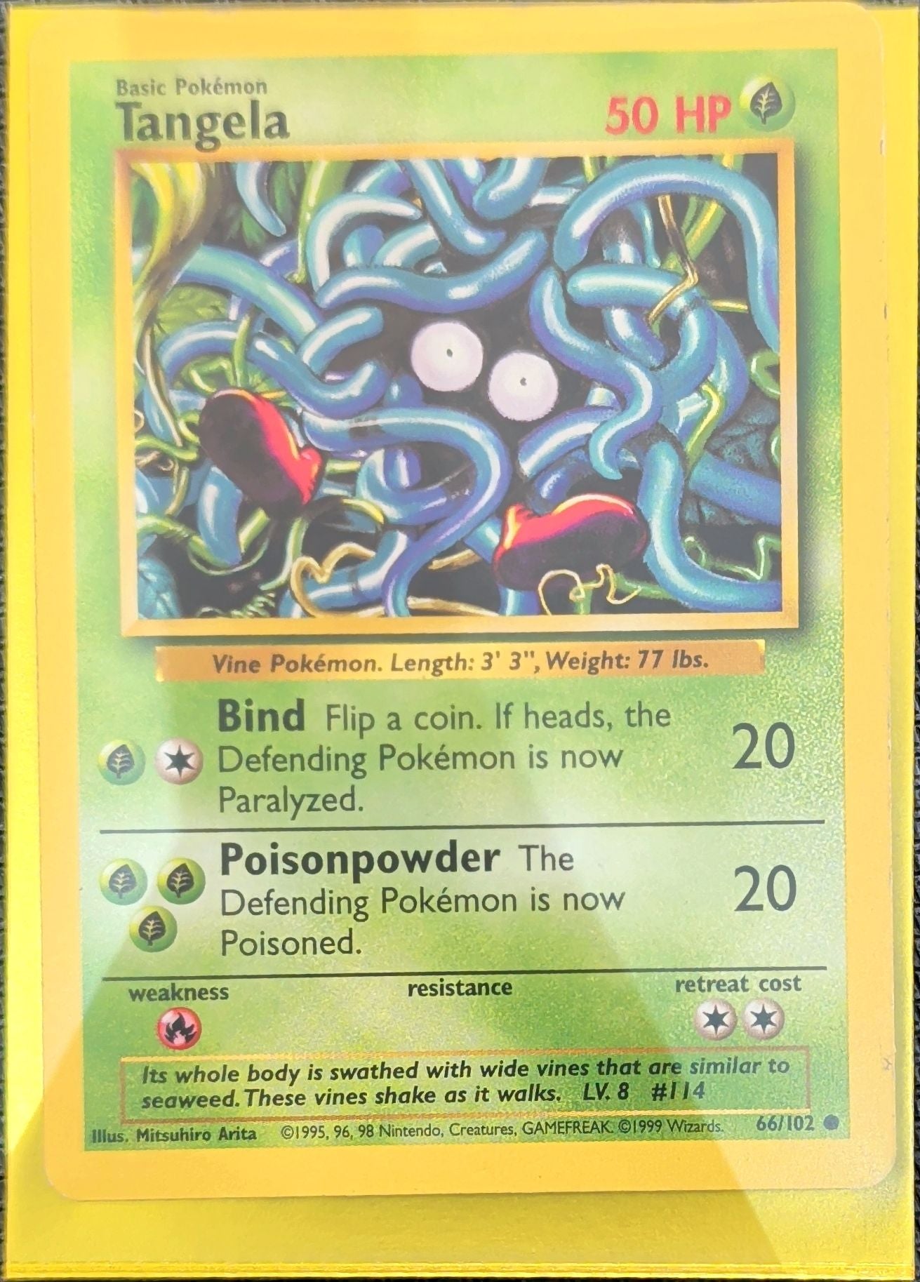 Tangela Common Base Set 066/102 MP