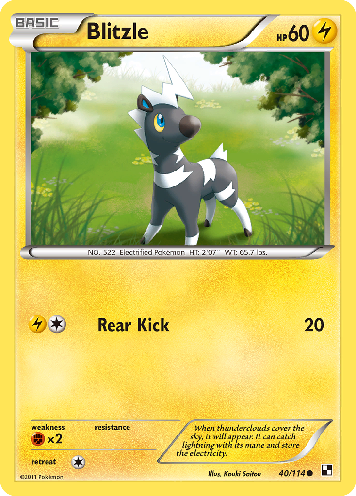 Blitzle 40/114 Pokémon Black & White (2011) English card — catalogue reference