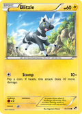 Blitzle 41/114 Pokémon Black & White (2011) English card — catalogue reference
