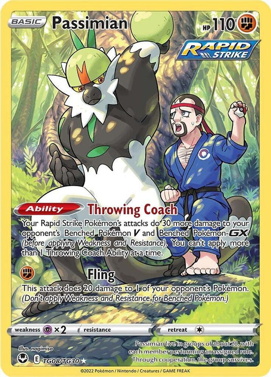 Passimian Ultra Rare SWSH12: Silver Tempest Trainer Gallery TG08/TG30 MP (Back)