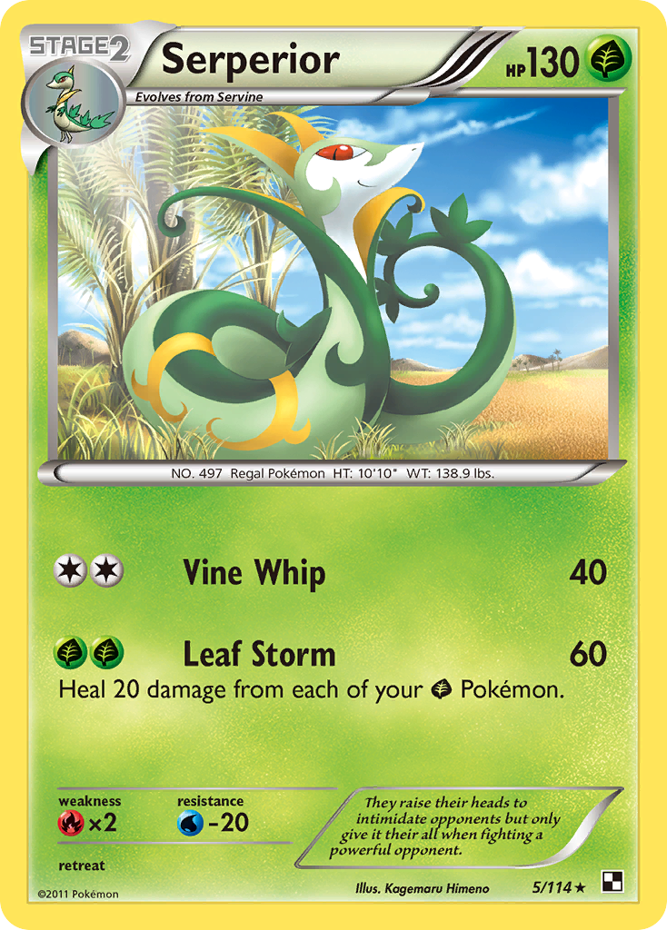Serperior 5/114 Pokémon Black & White (2011) English card — catalogue reference