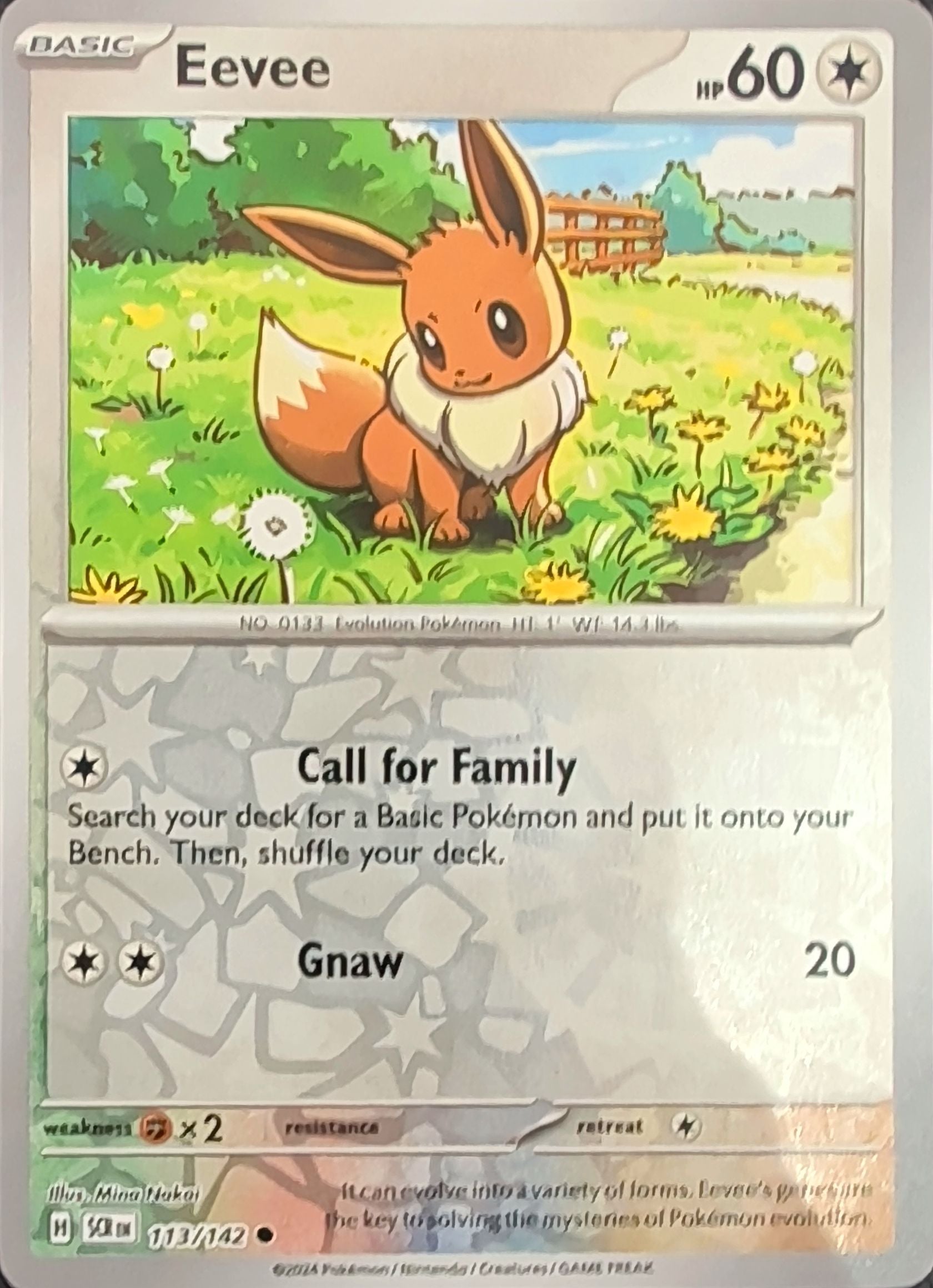 Eevee Common SV07: Stellar Crown 113/142 MP