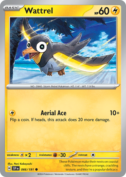 Pokemon Wattrel Surging Sparks 066/191