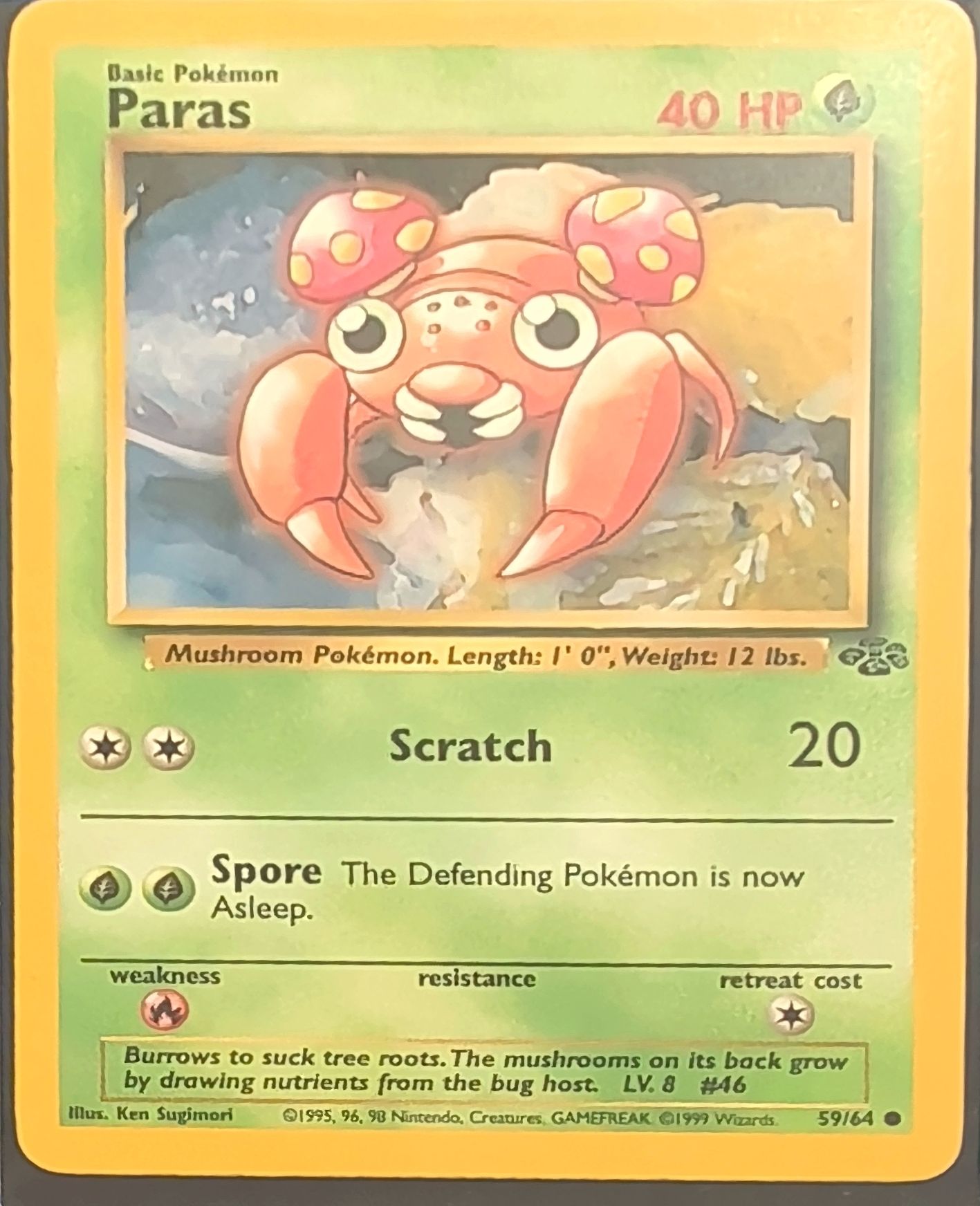 Paras Common Jungle 59/64 MP