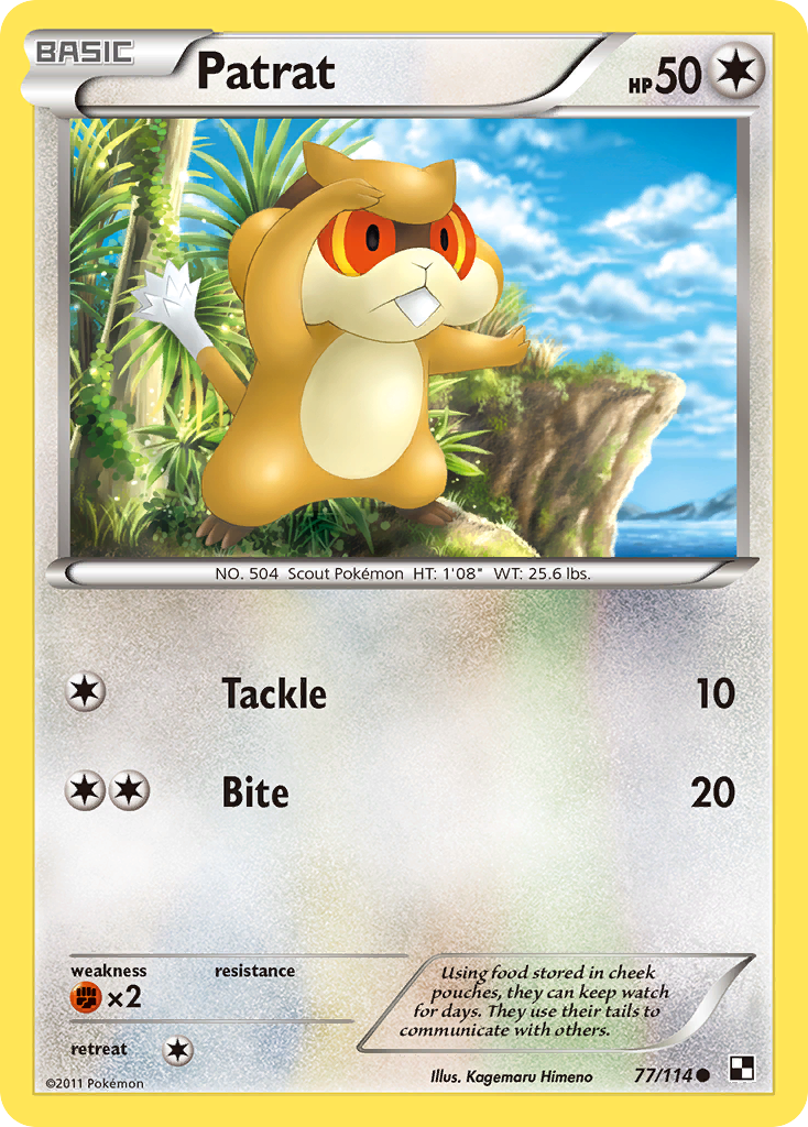Patrat 77/114 Pokémon Black & White (2011) English card — catalogue reference