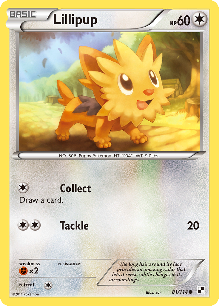 Lillipup 81/114 Pokémon Black & White (2011) English card — catalogue reference