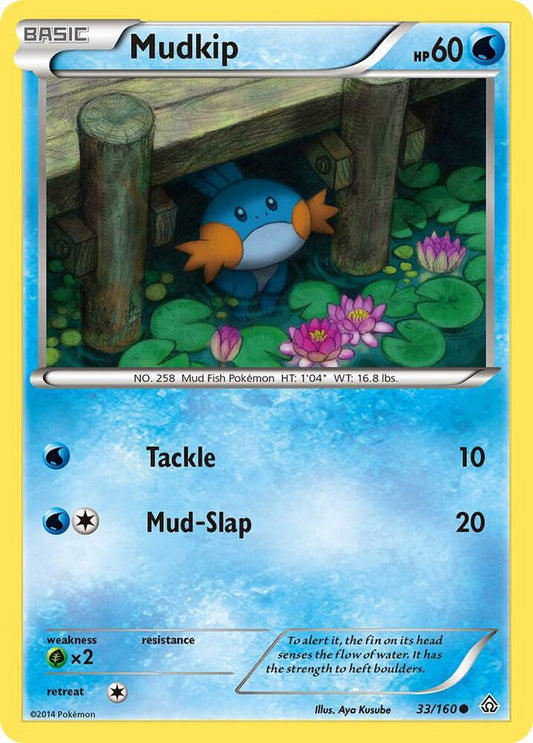 Mudkip Common XY - Primal Clash 33/160 MP (Back)