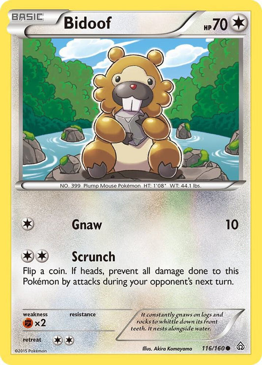 Bidoof Common XY - Primal Clash 116/160 MP (Back)