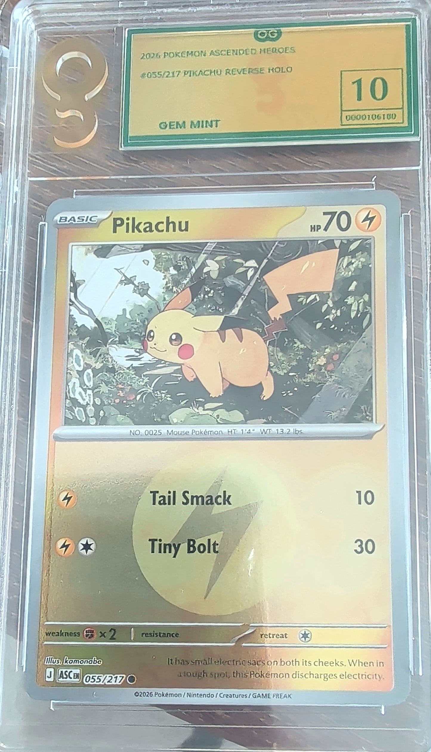 Pokémon trading card featuring Pikachu with a grading label on top