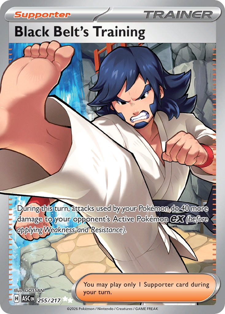 Black Belt's Training 255/217 — English Pokémon Ascended Heroes (2026)