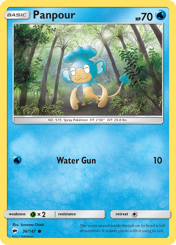 Panpour 36/147 English Pokémon card from Burning Shadows (2017)