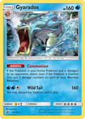 Gyarados 20/70 English Pokémon card from Dragon Majesty (2018)