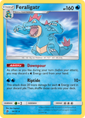 Feraligatr 24/70 English Pokémon card from Dragon Majesty (2018)