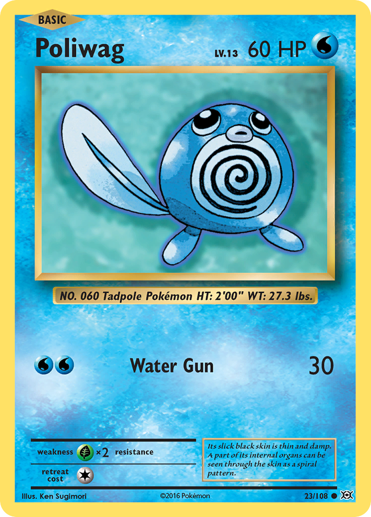 Poliwag 23/108 English Pokémon card from Evolutions (2016)