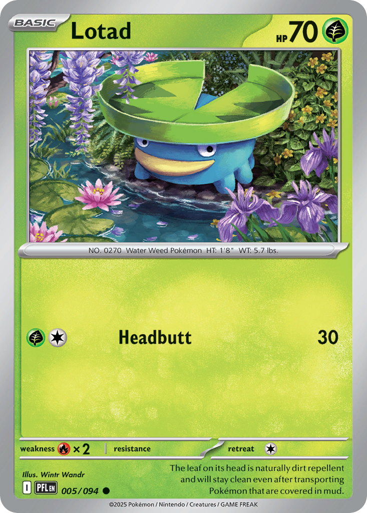 Lotad 5/94 — English Pokémon Phantasmal Flames (2025)