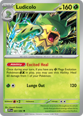 Ludicolo 7/94 — English Pokémon Phantasmal Flames (2025)