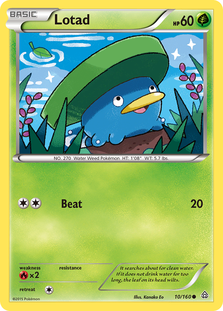 Lotad 10/160 English Pokémon card from Primal Clash (2015)