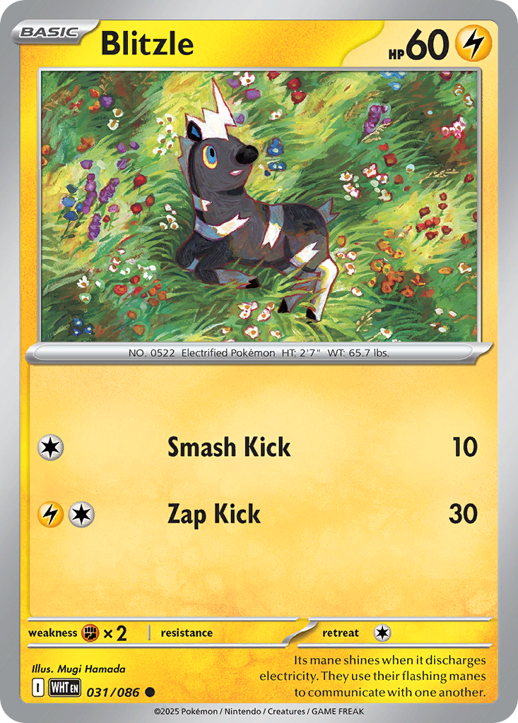 Blitzle 31/86 — English Pokémon White Flare (2025)